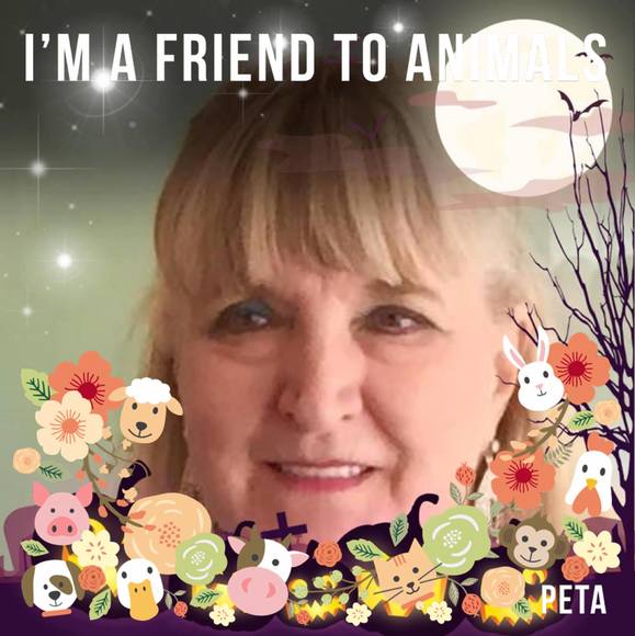 jemara50